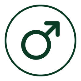 Male Fertility Support